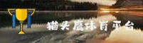 猫头鹰体育官网(MTOYSC.COM)入口