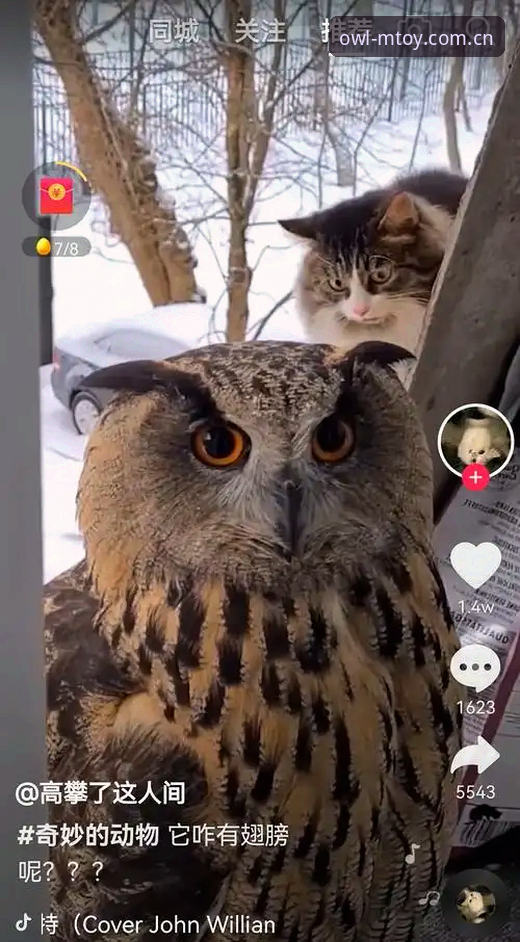 猫头鹰体育app下载安装失败 5大猫咪陷阱:为什么猫头鹰体育app下载安装总是失败?深入剖析3种错误类型与7个实用解决技巧